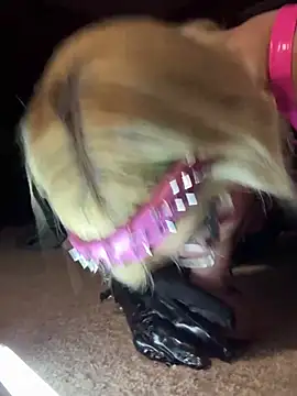 whoremeout online show from 03-13-26, 07:59