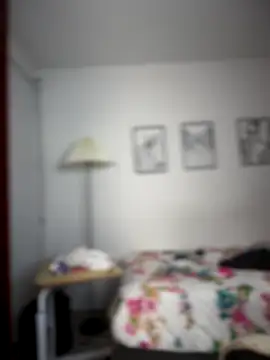 horny roomiess online show from 11-25-25, 11:49