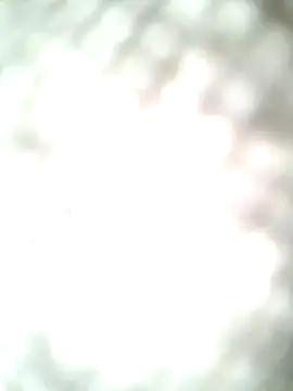 Snapshot of molozeb chatting on 10-12-25, 11:42 molozeb online show from 10-12-25, 11:42