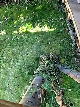 Snapshot of Lorent6969 chatting on 03-07-25, 01:18 Lorent6969 online show from 03-07-25, 01:18