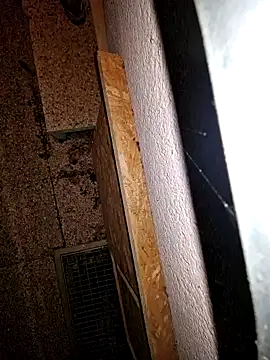 Snapshot of Lorent6969 chatting on 09-19-25, 03:52 Lorent6969 online show from 09-19-25, 03:52