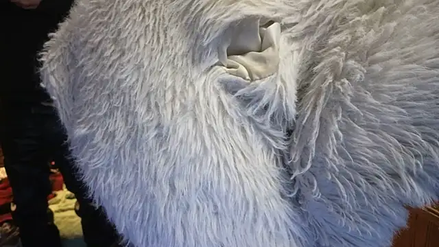 PropertyAndBiker online show from 02-14-25, 02:07