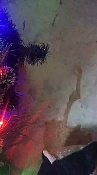 ChantalXOrchid online show from 01-15-25, 10:13