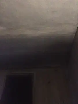 ChantalXOrchid online show from 04-15-26, 12:06