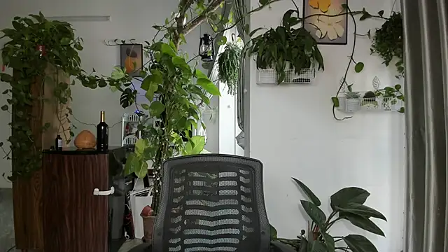 Oliver Nl online show from 01-07-26, 04:48