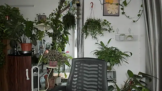 Oliver Nl online show from 03-13-26, 05:03