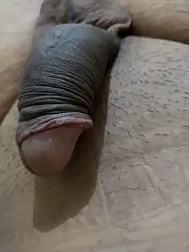 Dog546i online show from 09-08-25, 04:50