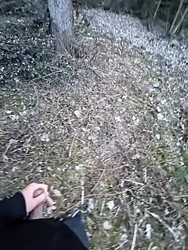 Snapshot of Picknick84 chatting on 03-21-25, 05:23 Picknick84 online show from 03-21-25, 05:23