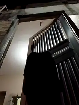 fieltoprj1 online show from 12-13-24, 11:39