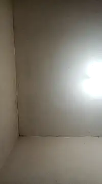 fieltoprj1 online show from 01-05-25, 08:11