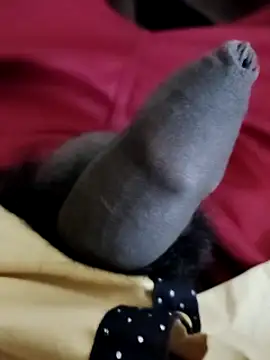 Ashish02345 online show from 12-06-24, 06:50