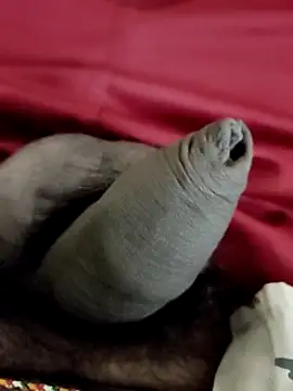 Ashish02345 online show from 01-24-25, 08:22