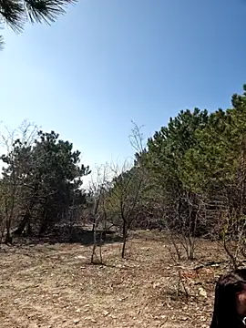 -Pupsiki- online show from 03-13-26, 08:10