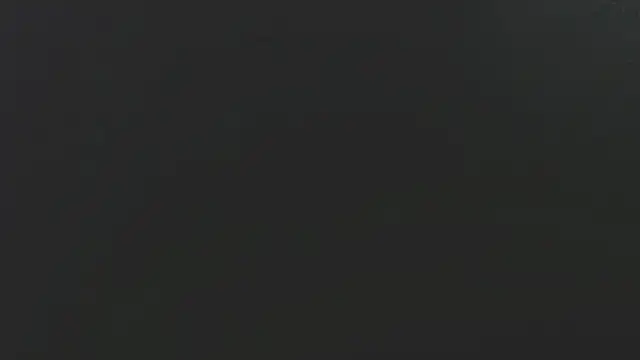 Dogz n daugthers online show from 02-02-25, 03:21