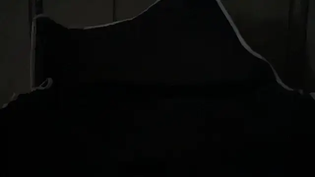 Dogz n daugthers online show from 04-01-26, 02:25