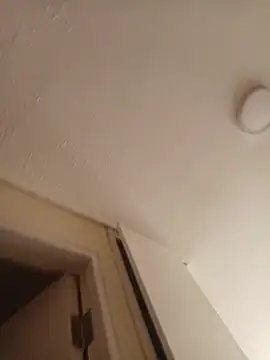 zafka 9 online show from 04-17-26, 08:12