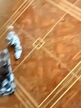 socrathes online show from 02-26-26, 12:26