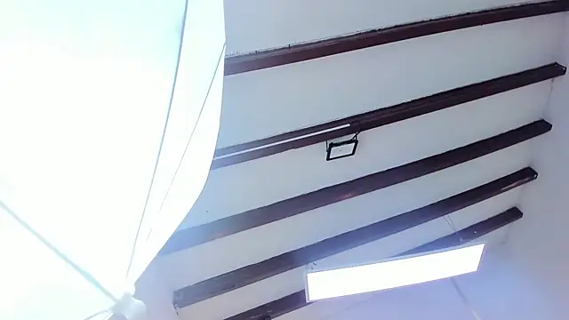 Snapshot of Oriana_Guzman chatting on 02-22-25, 06:41 Oriana Guzman online show from 02-22-25, 06:41