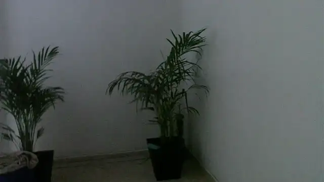 skylarhot420 online show from 03-05-25, 12:00