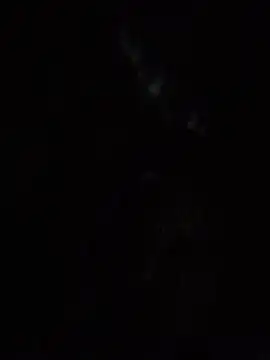 SassyAss Coco online show from 04-22-26, 05:54