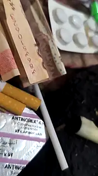 trans511 online show from 04-11-26, 08:57