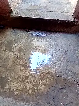 rau 4455 online show from 11-24-25, 09:31