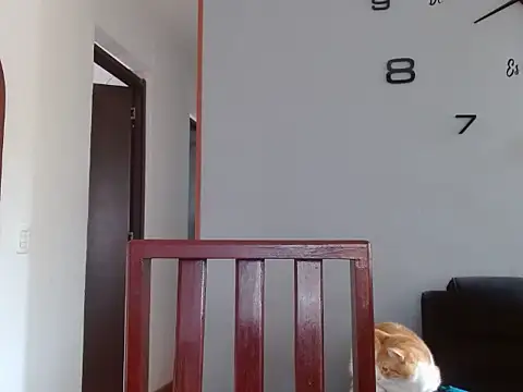 Laura martin  online show from 02-05-25, 01:33