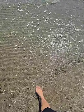 Snapshot of SexyErola27 chatting on 03-24-26, 12:32 SexyErola27 online show from 03-24-26, 12:32