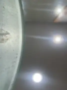 Mila Morgan online show from 01-23-25, 01:51