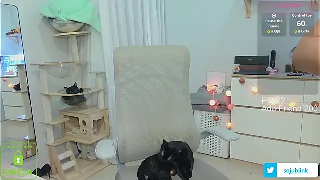 littlemiilk online show from 01-13-26, 08:08