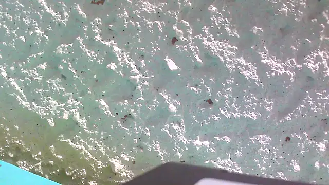 Snapshot of carolinesampaio chatting on 03-18-25, 06:36 carolinesampaio online show from 03-18-25, 06:36