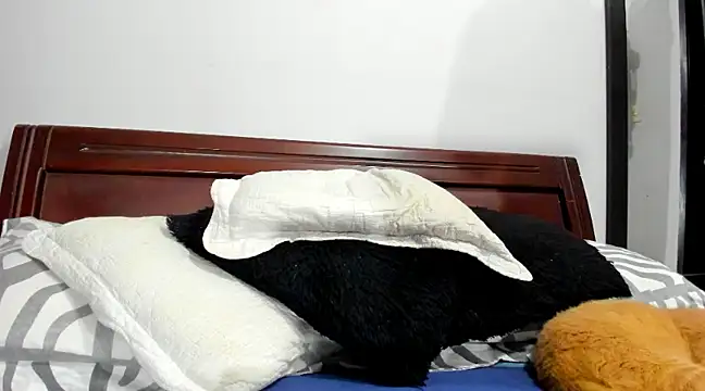 Snapshot of aleziiacam chatting on 02-14-25, 03:11 aleziiacam online show from 02-14-25, 03:11