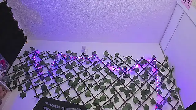 Pucaa  online show from 01-18-25, 12:46