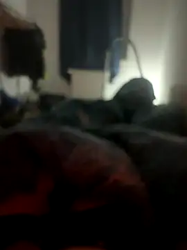 Snapshot of habbockwiesau chatting on 11-24-25, 10:09 habbockwiesau online show from 11-24-25, 10:09