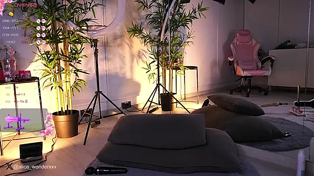 VanessaSimon online show from 01-25-25, 11:44