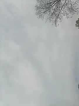 Snapshot of Nkumar173 chatting on 02-13-25, 05:26 Nkumar173 online show from 02-13-25, 05:26