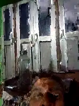 Snapshot of Nkumar173 chatting on 10-21-25, 04:41 Nkumar173 online show from 10-21-25, 04:41