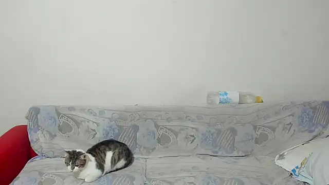 ANGELALEXYNO2024 online show from 02-26-25, 08:26