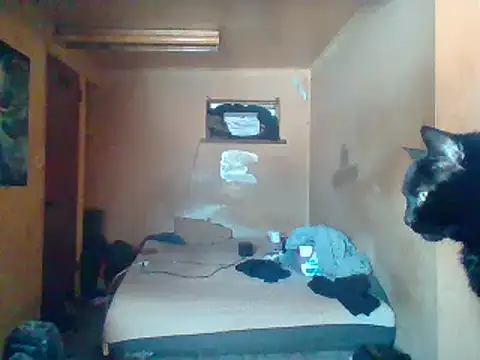Snapshot of Nightshade7712 chatting on 02-04-25, 05:55 Nightshade7712 online show from 02-04-25, 05:55