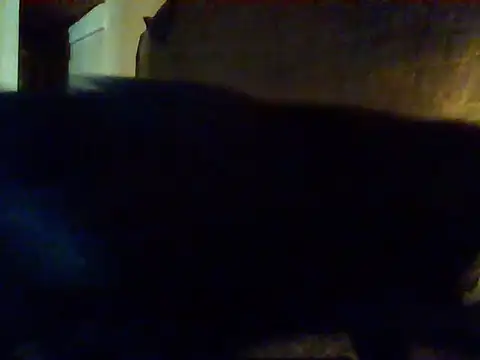 Snapshot of Nightshade7712 chatting on 09-16-25, 09:38 Nightshade7712 online show from 09-16-25, 09:38