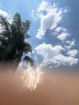 THEBUTTERNUT online show from 02-06-26, 11:02