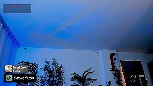 Snapshot of alex_wolf_ chatting on 01-17-25, 05:21 alex wolf online show from 01-17-25, 05:21