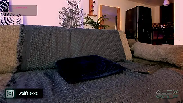 Snapshot of alex_wolf_ chatting on 02-08-25, 02:04 alex wolf online show from 02-08-25, 02:04