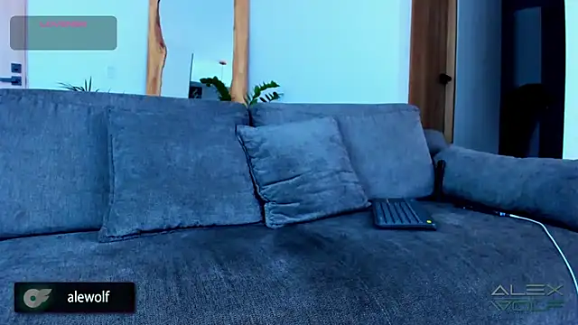 Snapshot of alex_wolf_ chatting on 11-28-25, 02:42 alex wolf online show from 11-28-25, 02:42