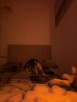 Sashabunny online show from 02-12-26, 08:15