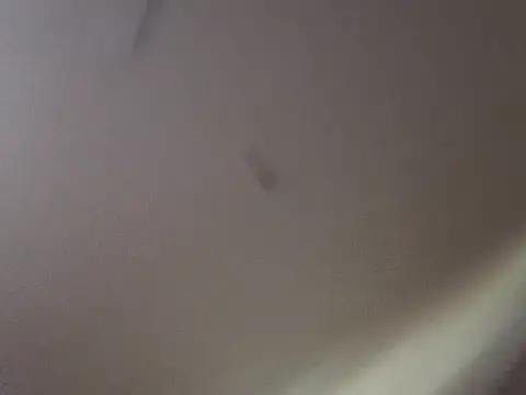 Gin4Cole online show from 09-25-25, 11:52