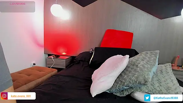 Snapshot of kate_evans1 chatting on 11-27-25, 05:09 kate evans1 online show from 11-27-25, 05:09