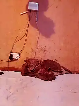 cute naimah online show from 12-05-25, 06:15