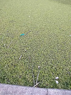 Snapshot of Eduardoxxx51 chatting on 12-03-25, 10:19 Eduardoxxx51 online show from 12-03-25, 10:19