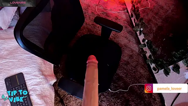 Snapshot of pamela_bell chatting on 02-03-25, 08:57 pamela bell online show from 02-03-25, 08:57